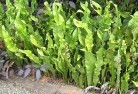 Lithgowplants-34.jpg; ?>
