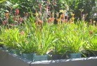 Lithgowplants-71.jpg; ?>